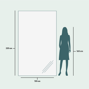 Slimline - Extra Large Full Length Mirror With Birch Frame (130x220cm)