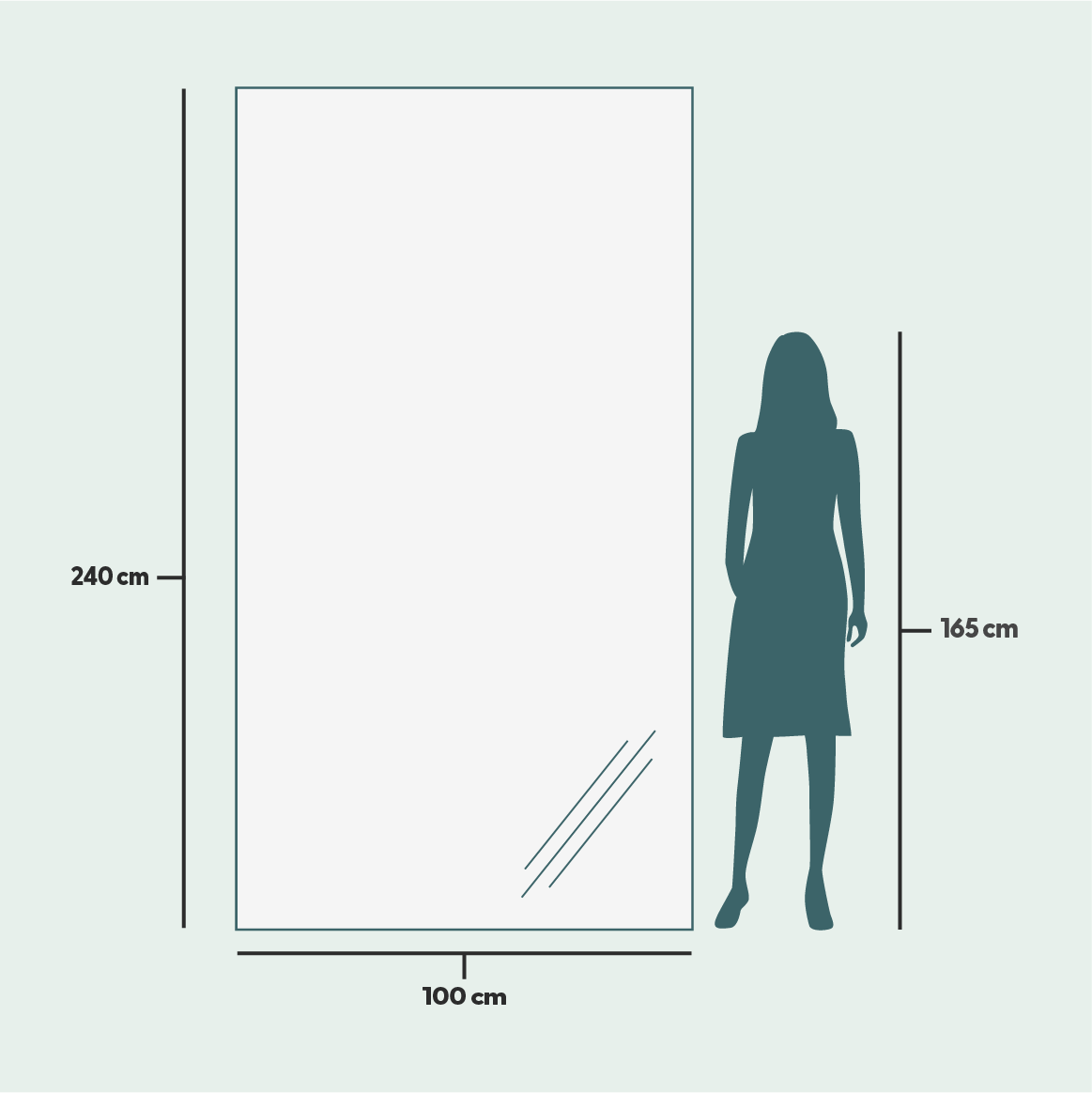 Giant Slimline Mirror with Black Frame (100x220 cm)